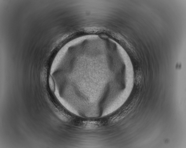 X0000099500448200806121419