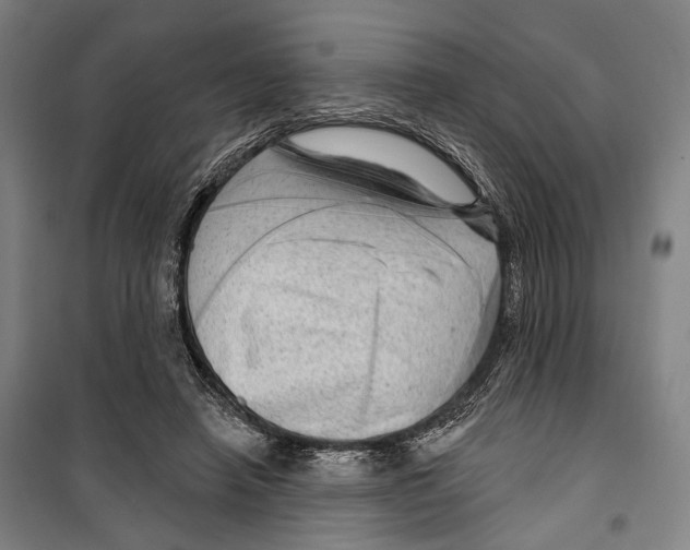 X0000099500450200806121419