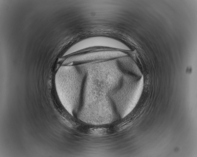 X0000099500452200806121419