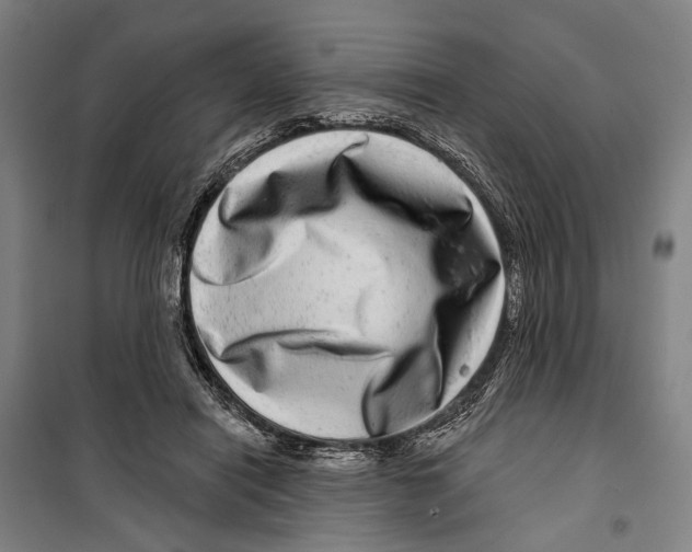 X0000099500454200806121419