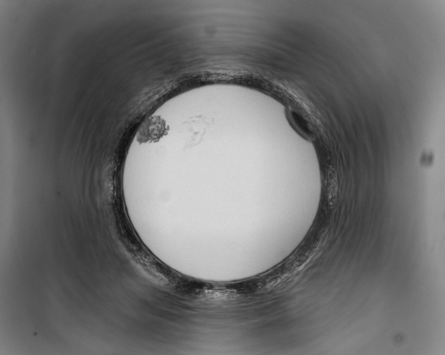 X0000099500455200806121419