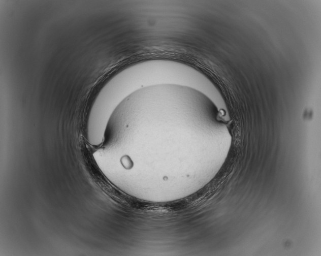 X0000099500456200806121419