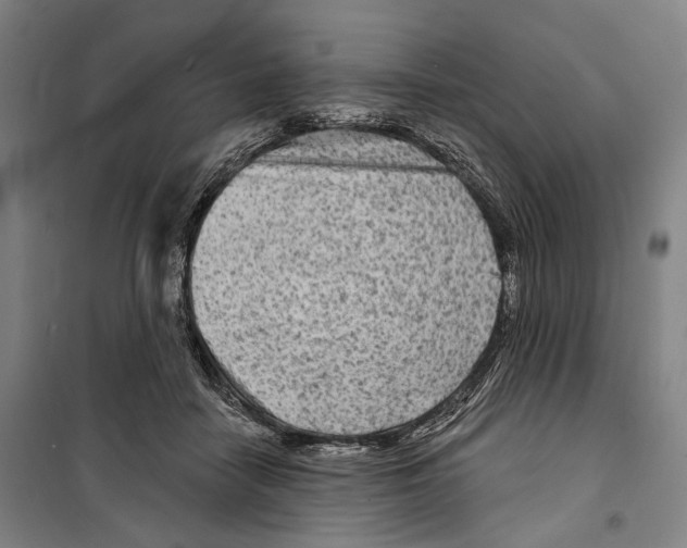 X0000099500458200806121419