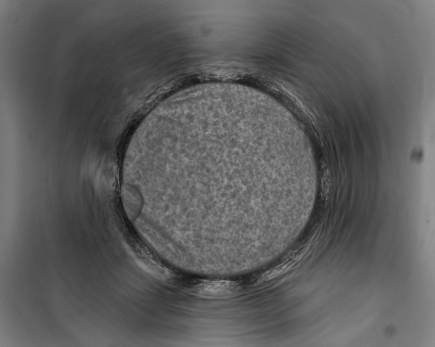 X0000099500459200806121419