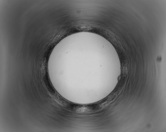 X0000099500460200806121419