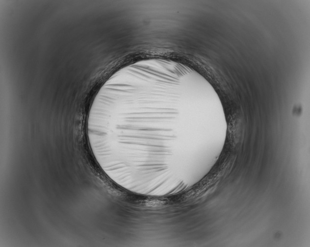 X0000099500462200806121419