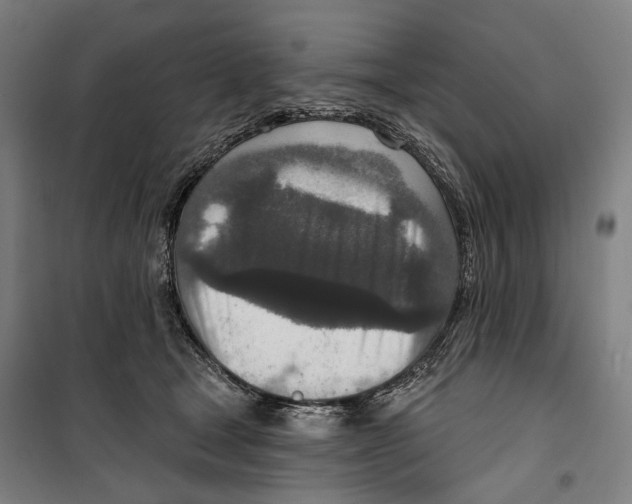 X0000099500465200806121419