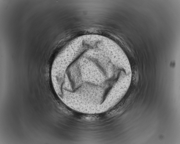 X0000099500466200806121419