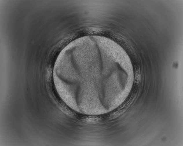 X0000099500468200806121419