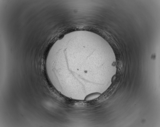 X0000099500470200806121419