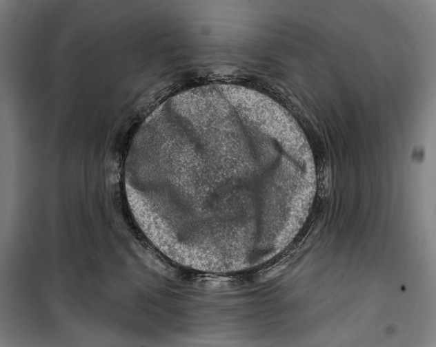 X0000099500472200806121419