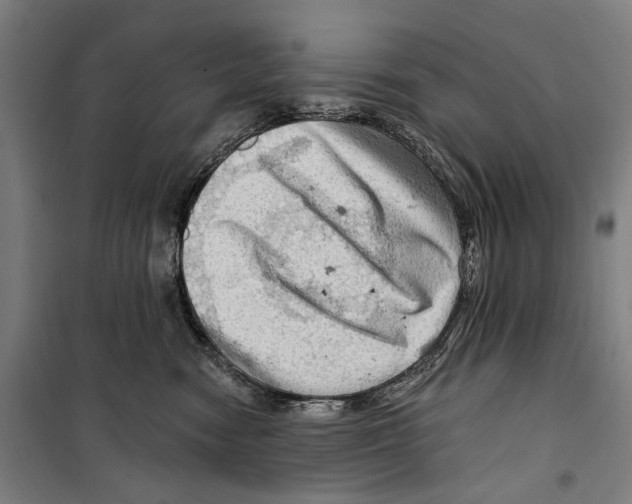 X0000099500474200806121419