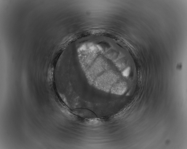 X0000099500475200806121419