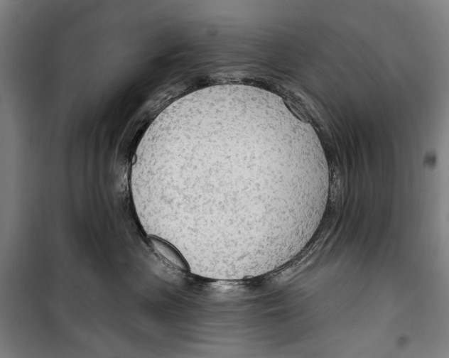 X0000099500477200806121420