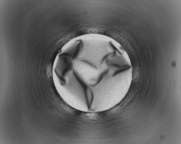 X0000099500478200806121420