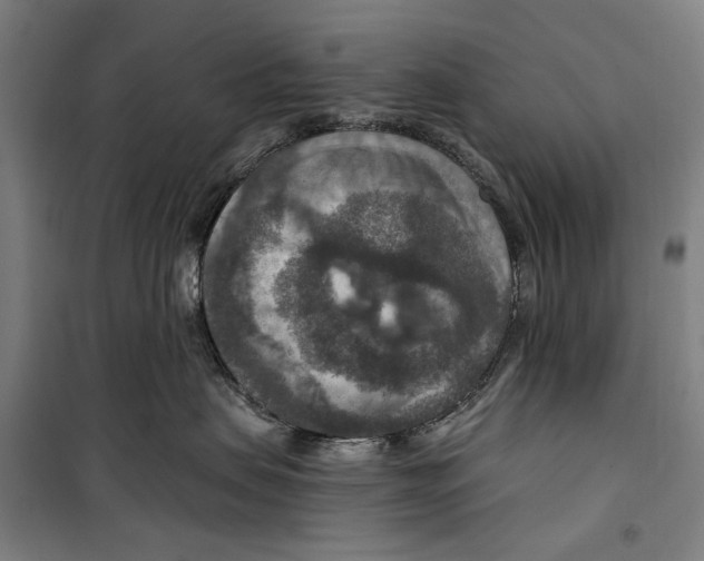 X0000099500479200806121420