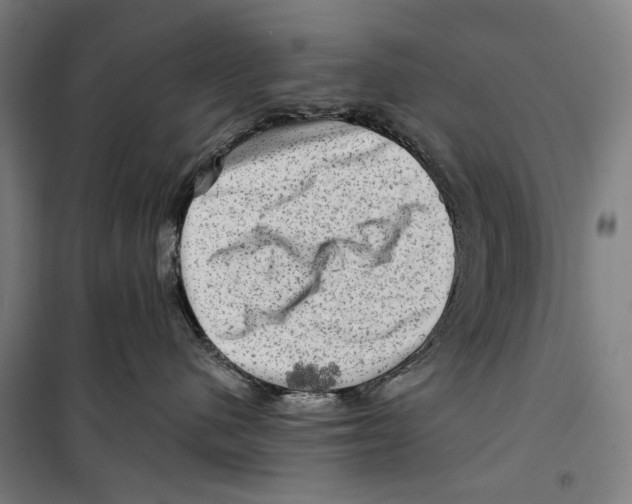 X0000099500480200806121420