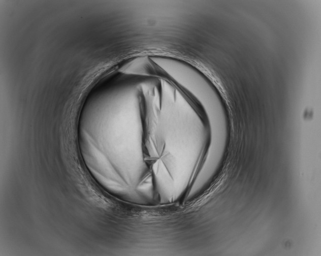 X0000099500481200806121419