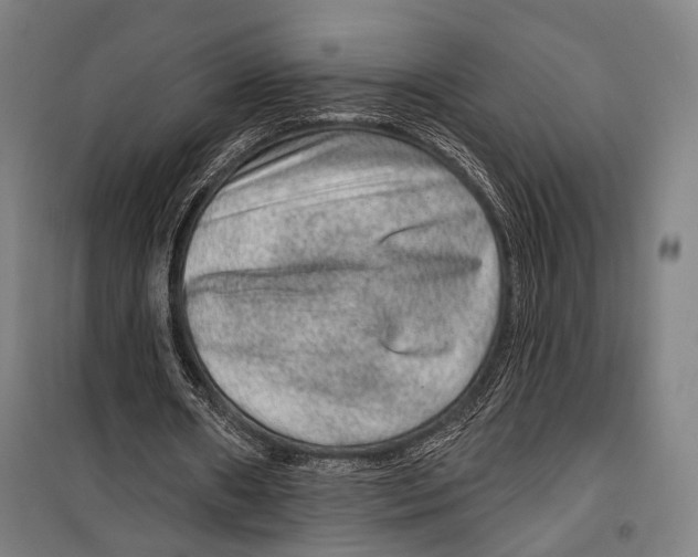 X0000099500482200806121419