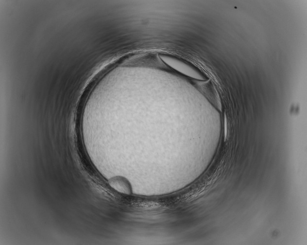 X0000099500483200806121419