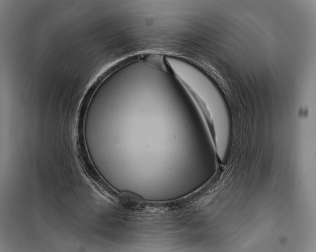 X0000099500484200806121419