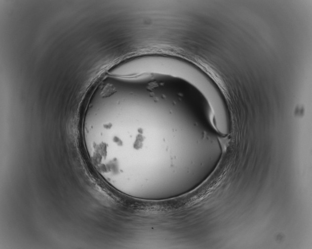 X0000099500485200806121419