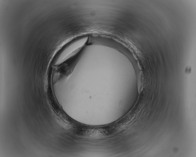 X0000099500488200806121419