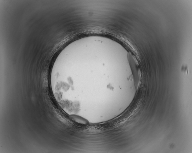 X0000099500489200806121419