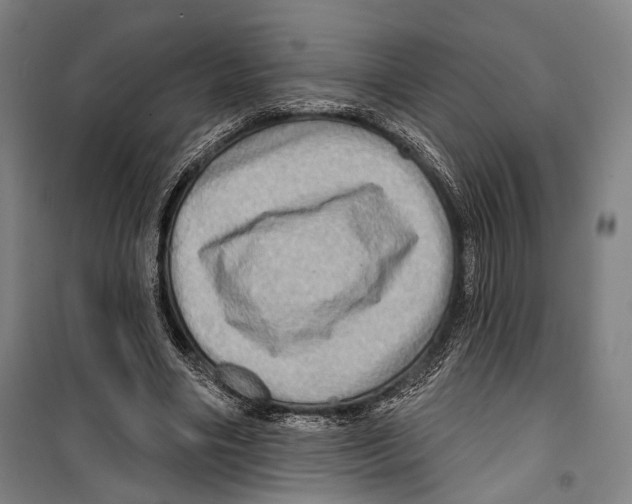 X0000099500490200806121419