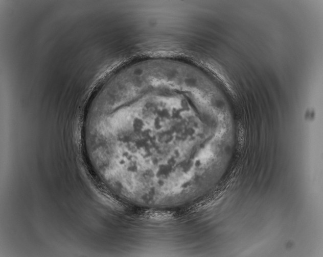 X0000099500491200806121419