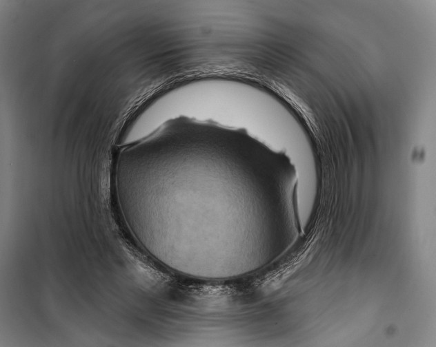 X0000099500493200806121419