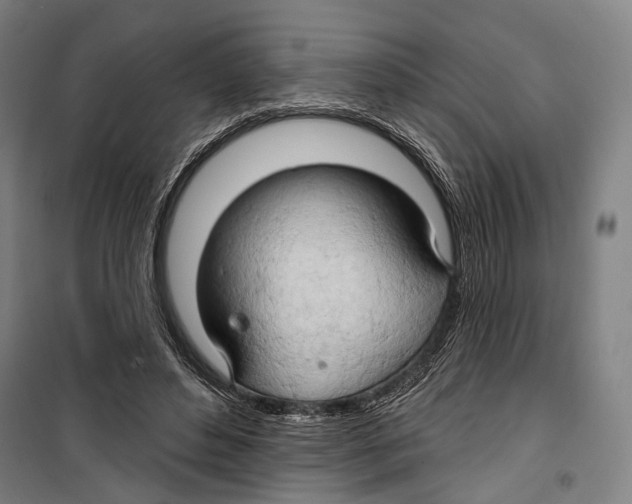 X0000099500496200806121419