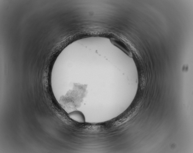 X0000099500497200806121419