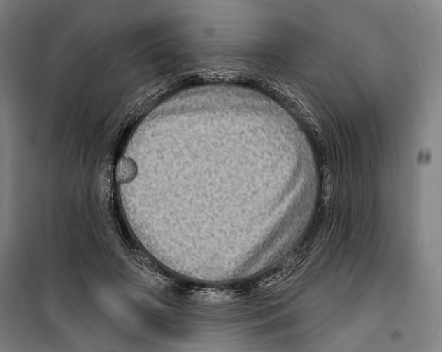 X0000099500498200806121419