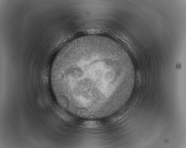 X0000099500499200806121419