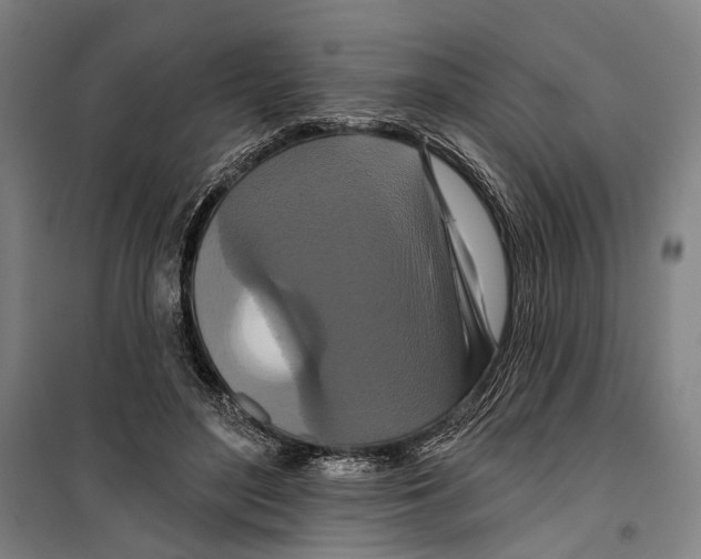 X0000099500500200806121419