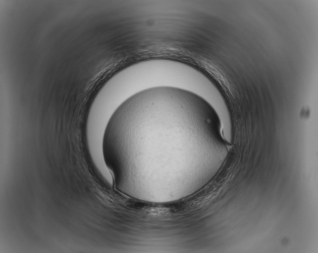 X0000099500501200806121419