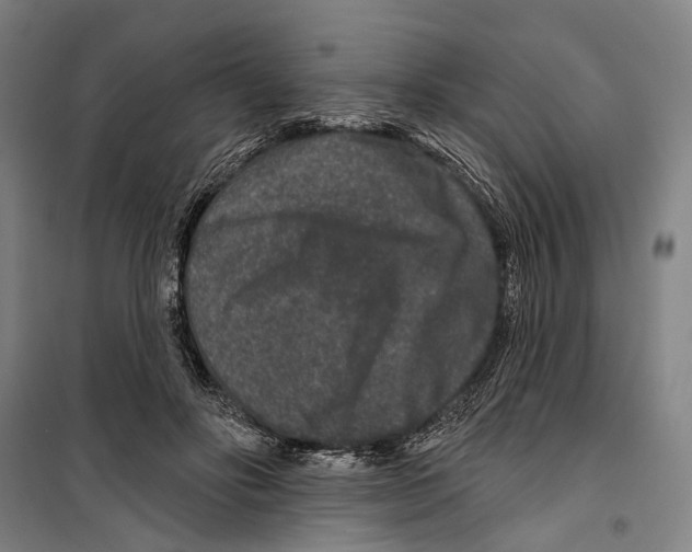 X0000099500502200806121419