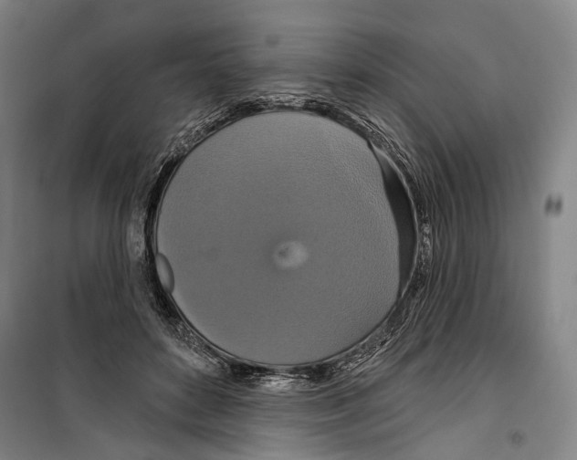 X0000099500504200806121419