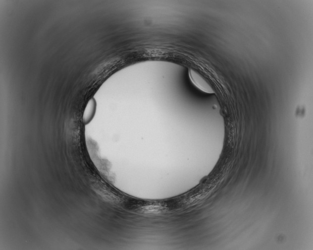 X0000099500505200806121419