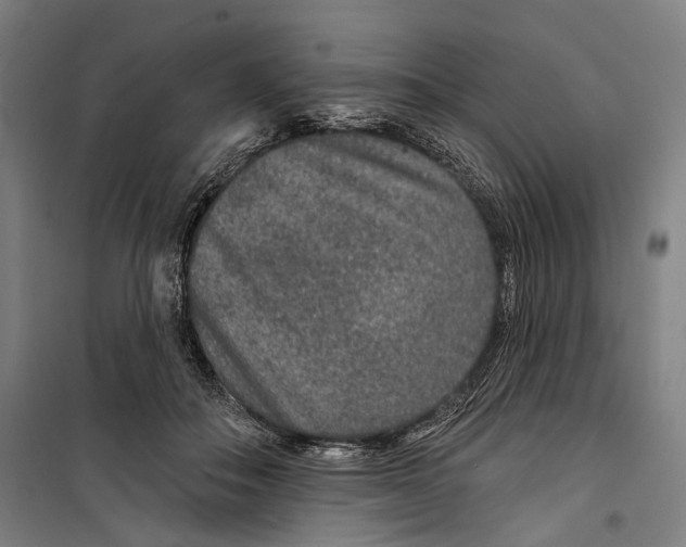 X0000099500506200806121419