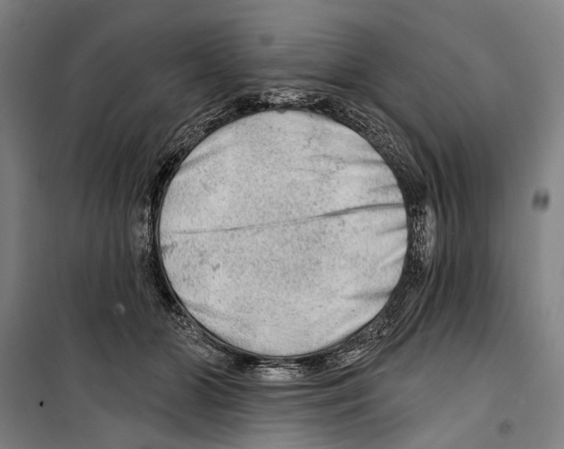 X0000099500510200806121418