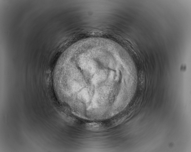 X0000099500511200806121418