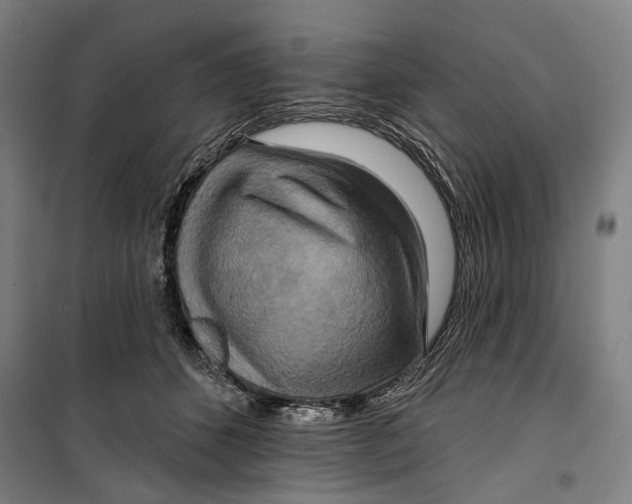 X0000099500512200806121418