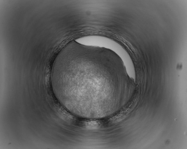 X0000099500513200806121418