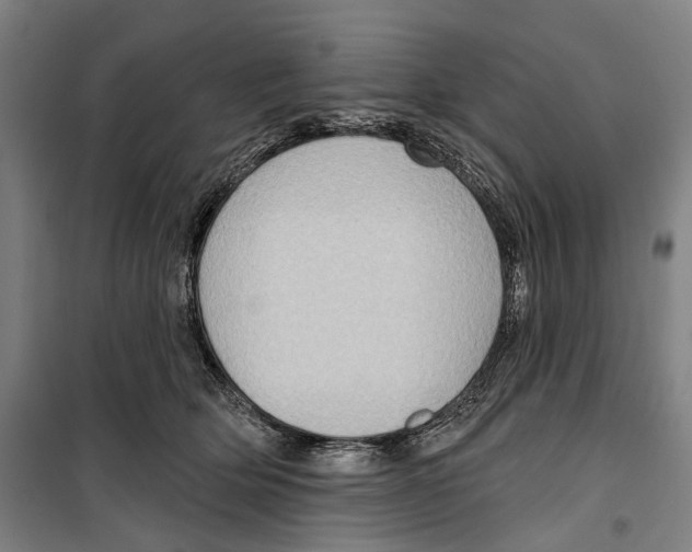 X0000099500514200806121418