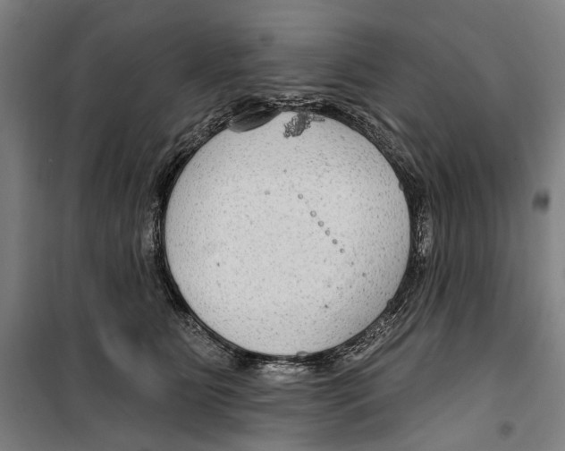 X0000099500515200806121418