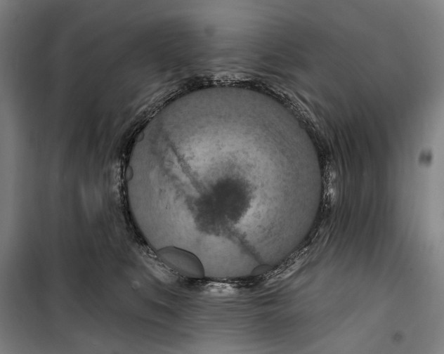 X0000099500519200806121418