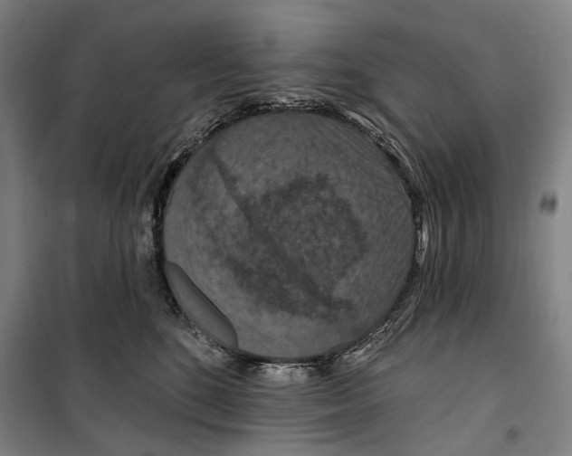 X0000099500520200806121418