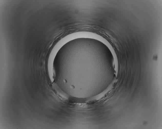 X0000099500524200806121418